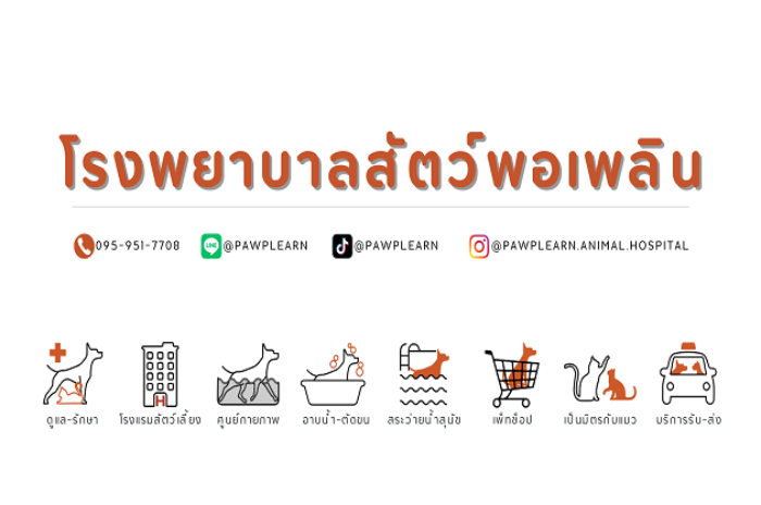 โรงพยาบาลสัตว์พอเพลิน : นนทบุรี