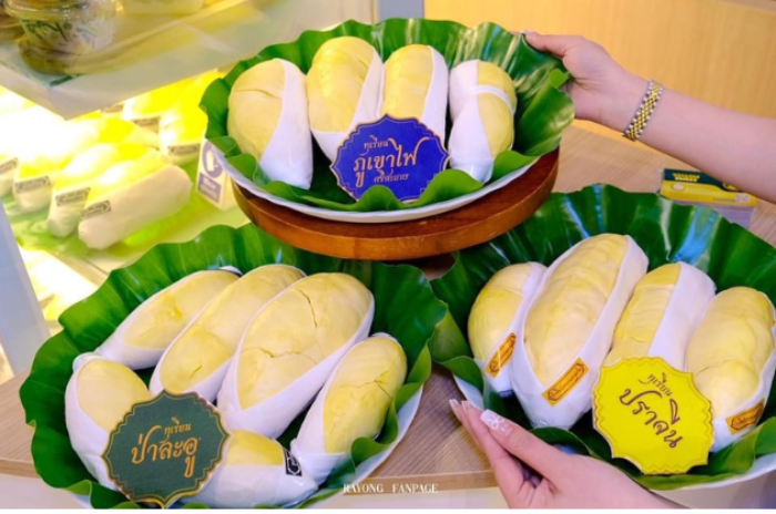 Yellow Sweez : ระยอง