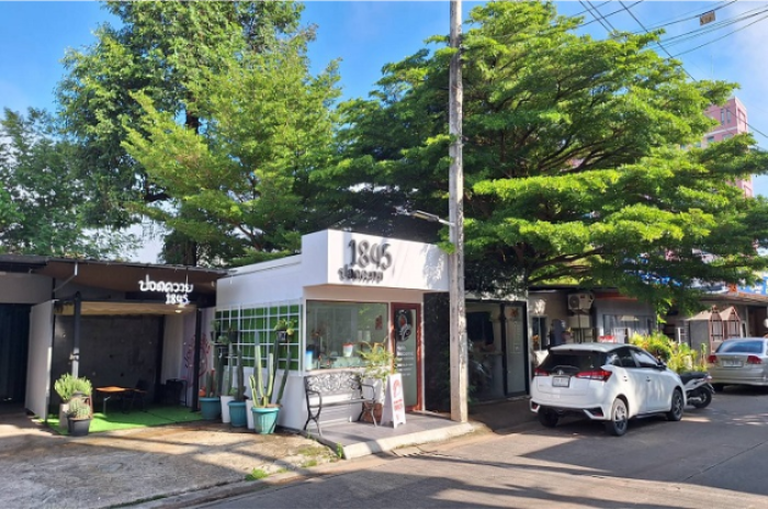 ร้านปอดควายมินิ : ตรัง