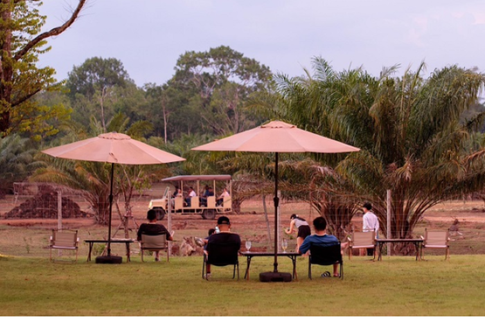 บริษัท เซอร์วิ เด จำกัด : ตรัง