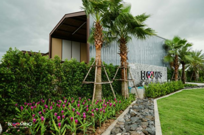 Blooming Resort Buriram : บุรีรัมย์
