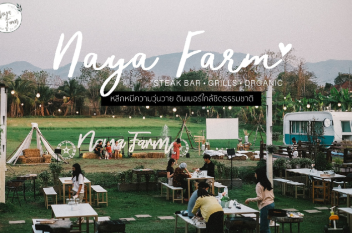Naya Farm : ลำปาง