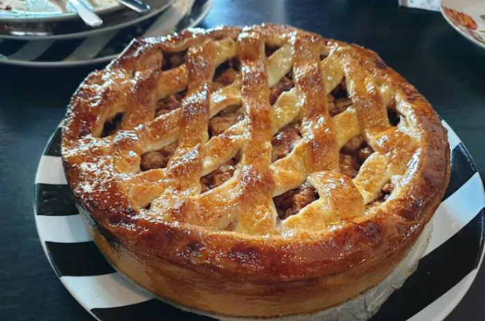 Tulip : ลำปาง