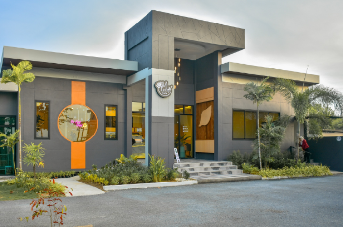 M Leaf Cafe : กระบี่