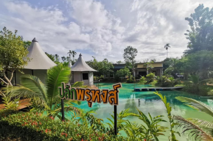 เรือนพรุหงส์ ณ บางทอง : พังงา