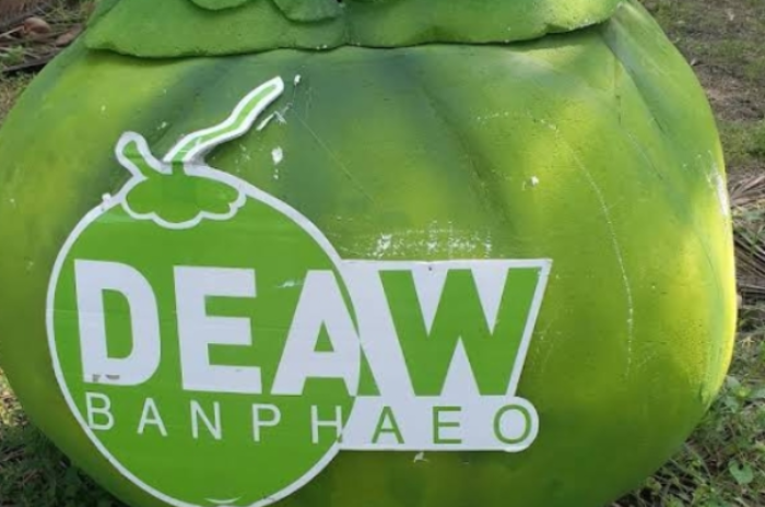 สวนเดี่ยวมะพร้าว : สมุทรสาคร