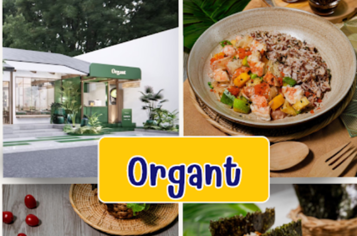 บริษัท ออร์แกน โนเวล จำกัด : ขอนแก่น