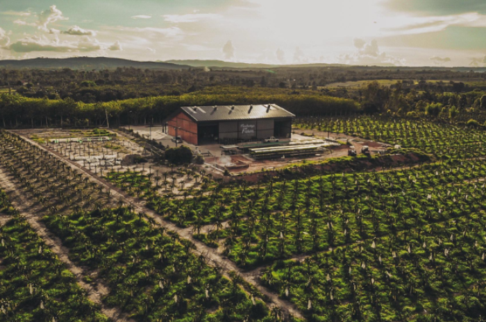 Freshways Farm - เฟรชเวย์ฟาร์ม : เลย